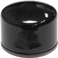 Oljefilter til B&S Vanguard, Intek, Powerbuilt 14 - 16 hk